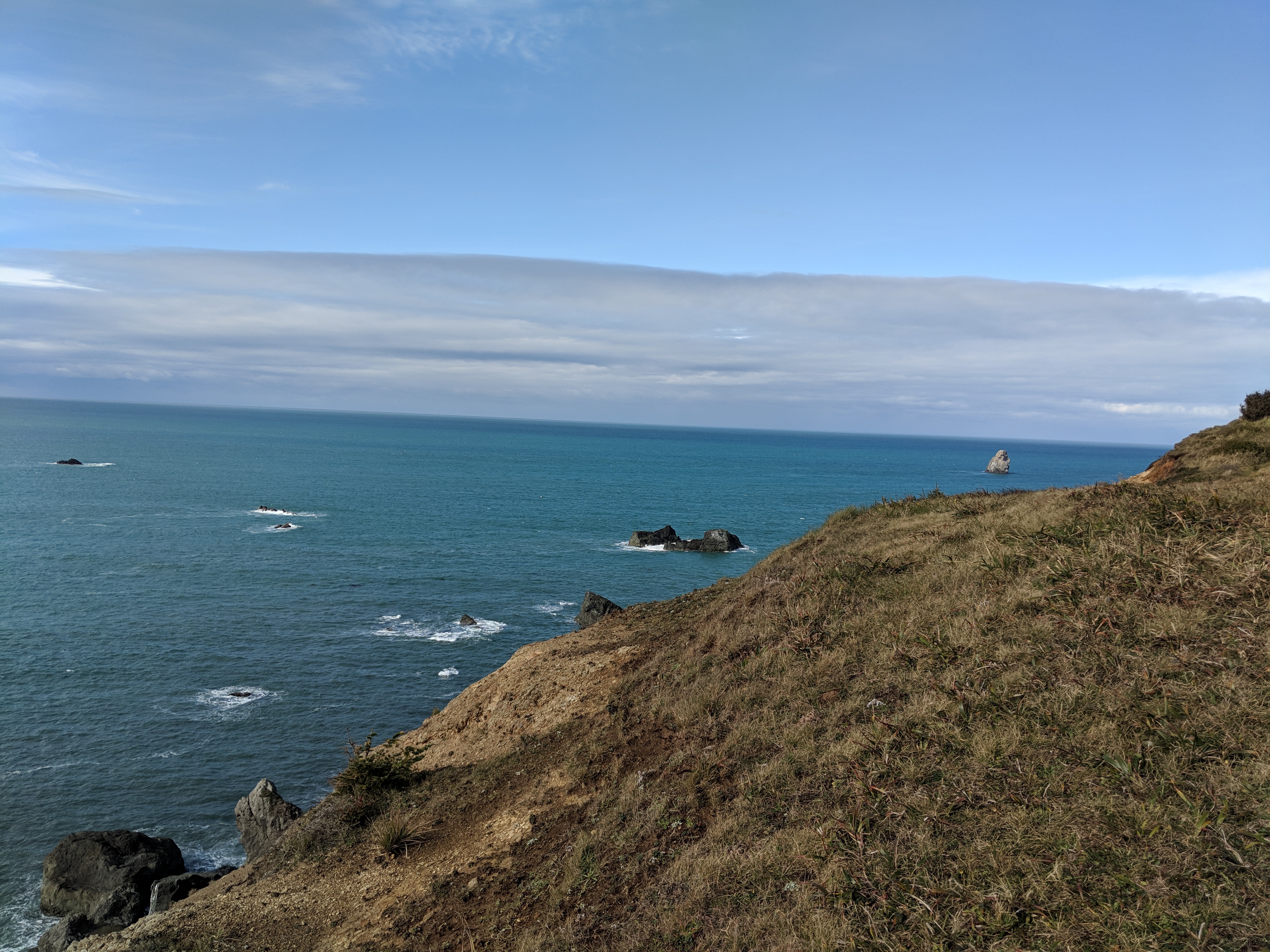 Somewhere on the Pacific Coast near Brookings, Oregon