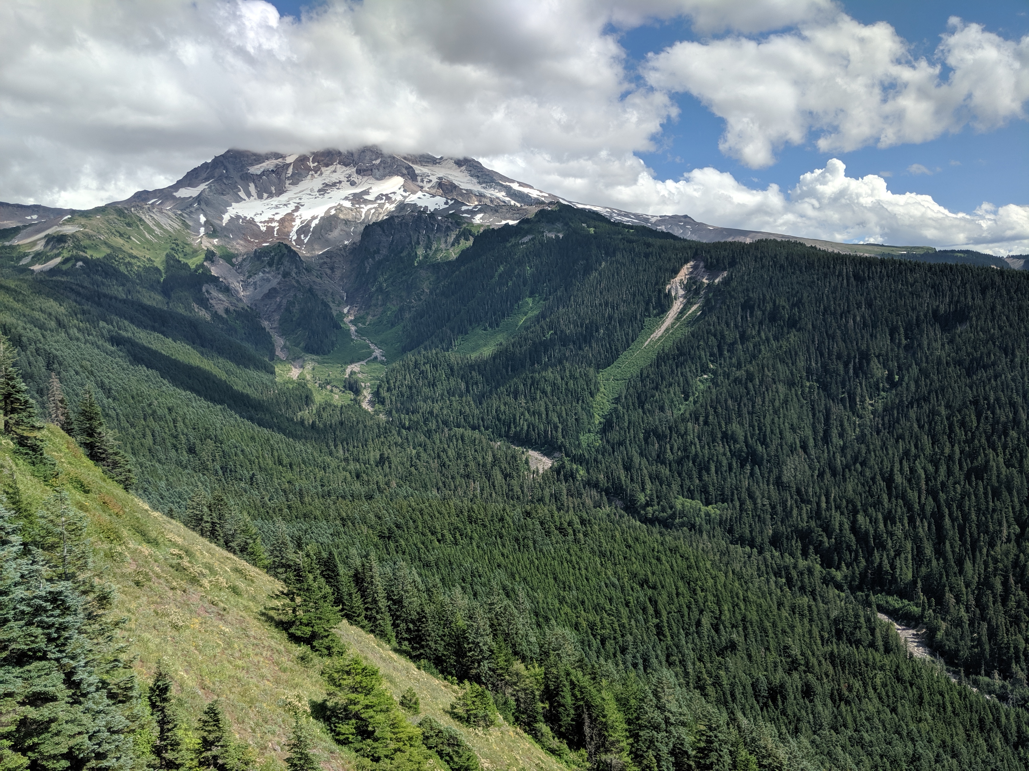 Mt. Hood